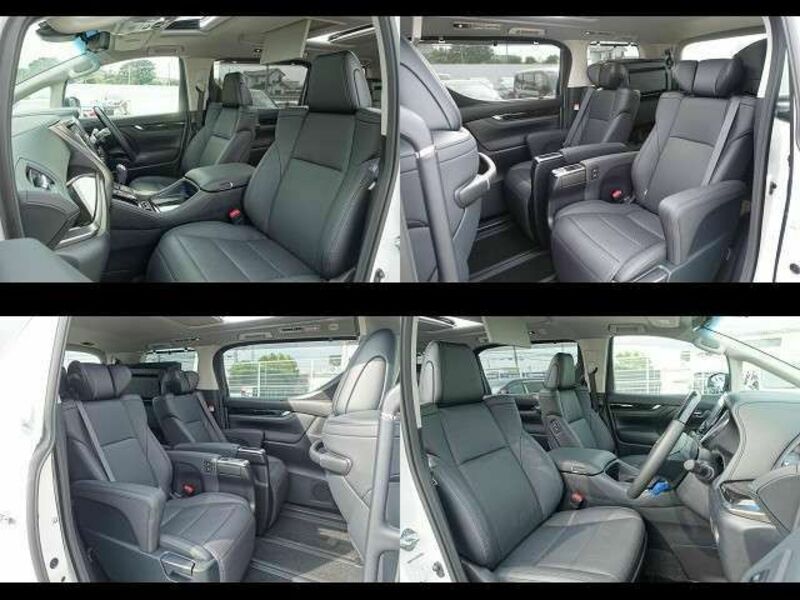 ALPHARD-16