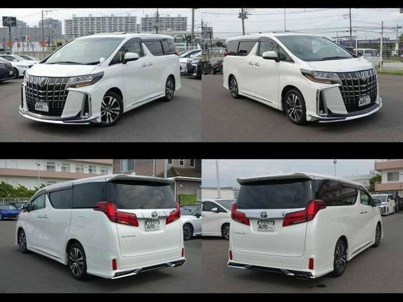 ALPHARD-17