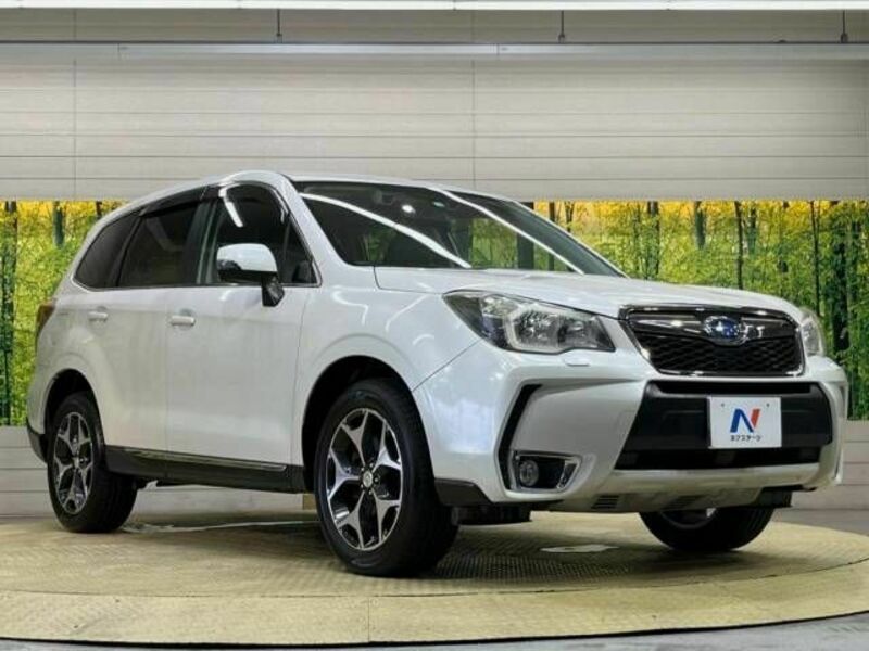 FORESTER-17