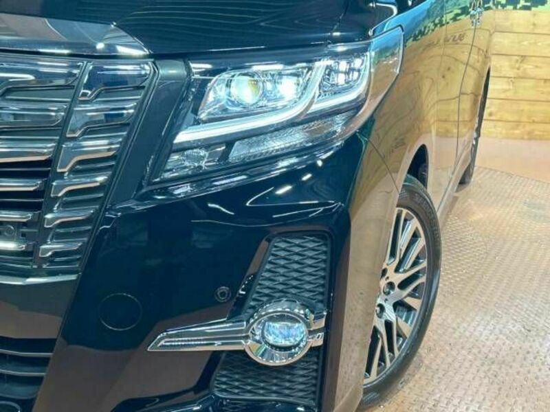 ALPHARD-12