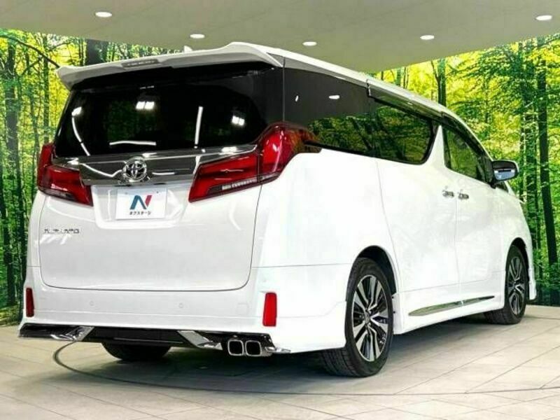 ALPHARD-18