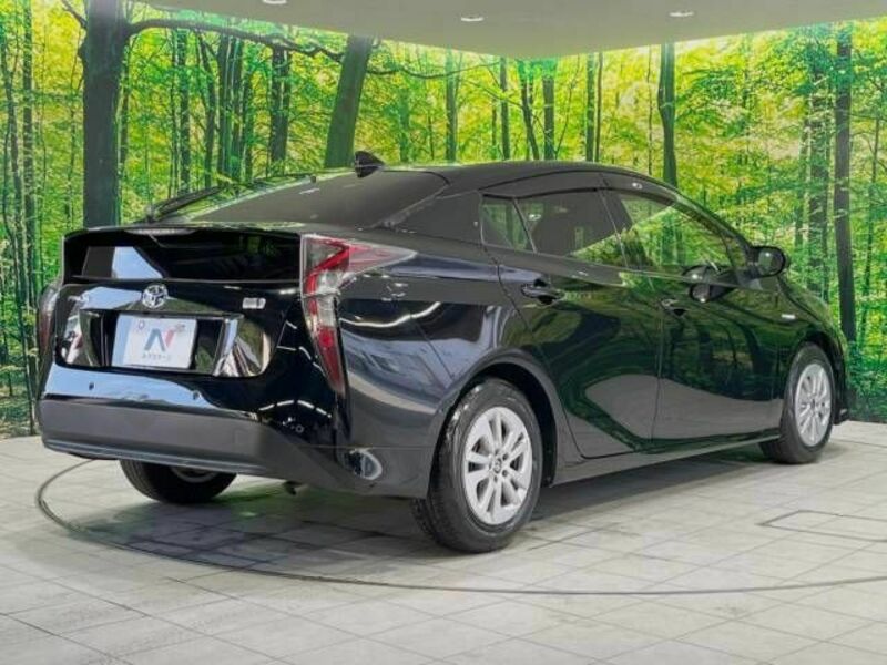 PRIUS-17