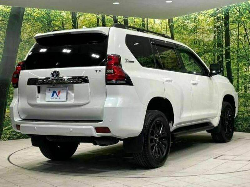 LAND CRUISER PRADO-18