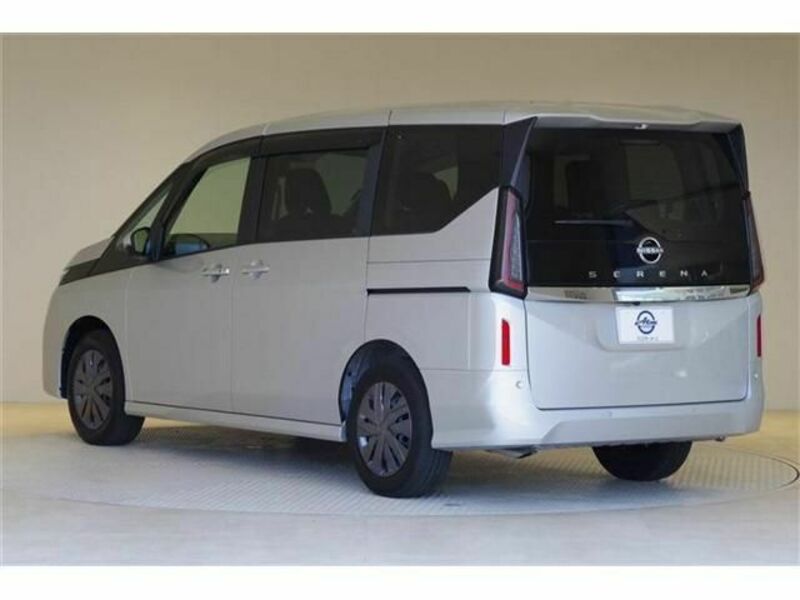 SERENA-20