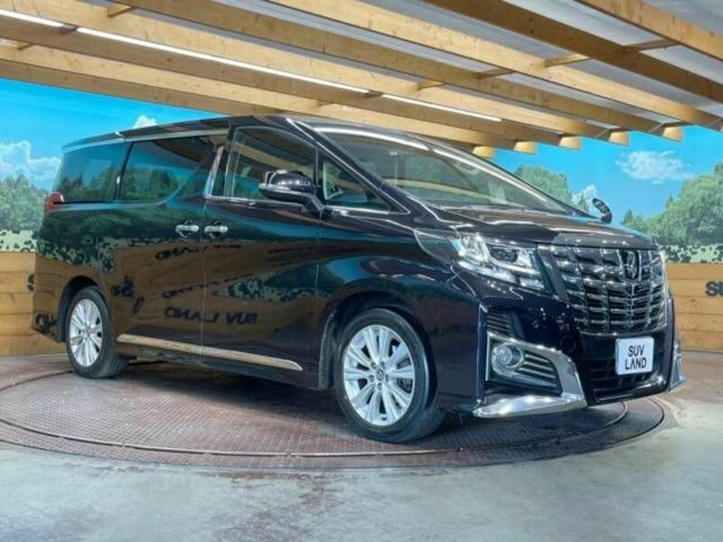 ALPHARD-17