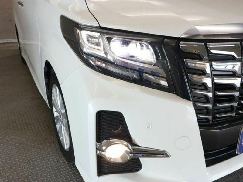 ALPHARD-19