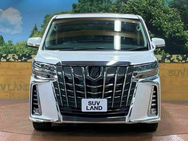 ALPHARD-15