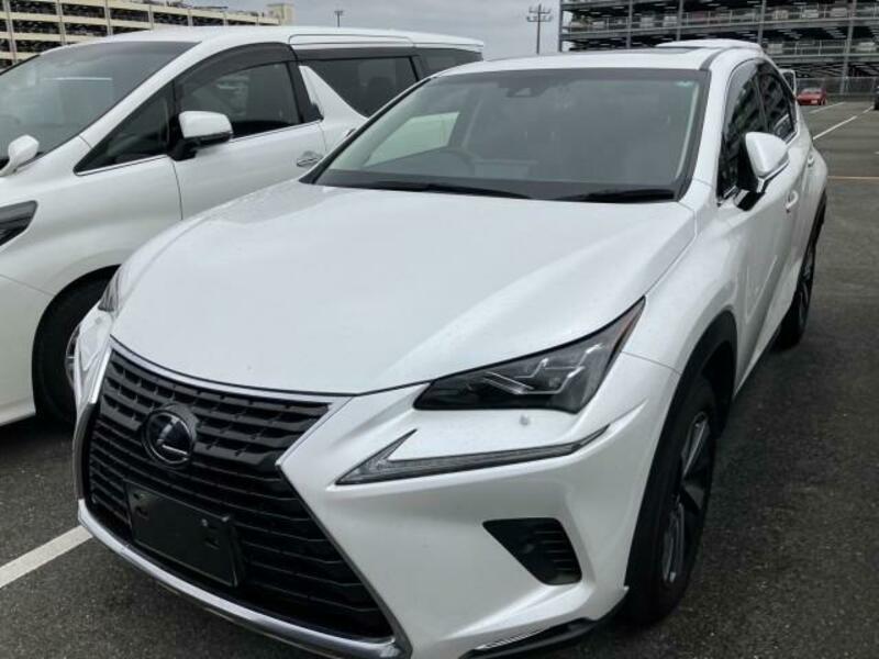 LEXUS　NX