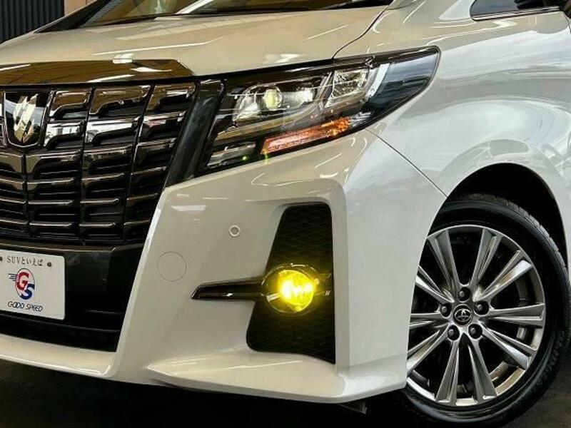 ALPHARD-19