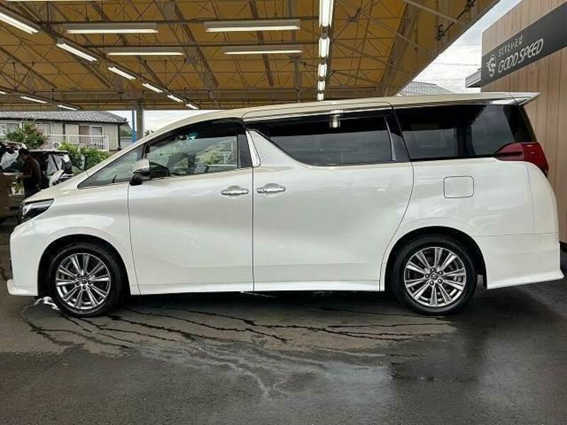 ALPHARD-13