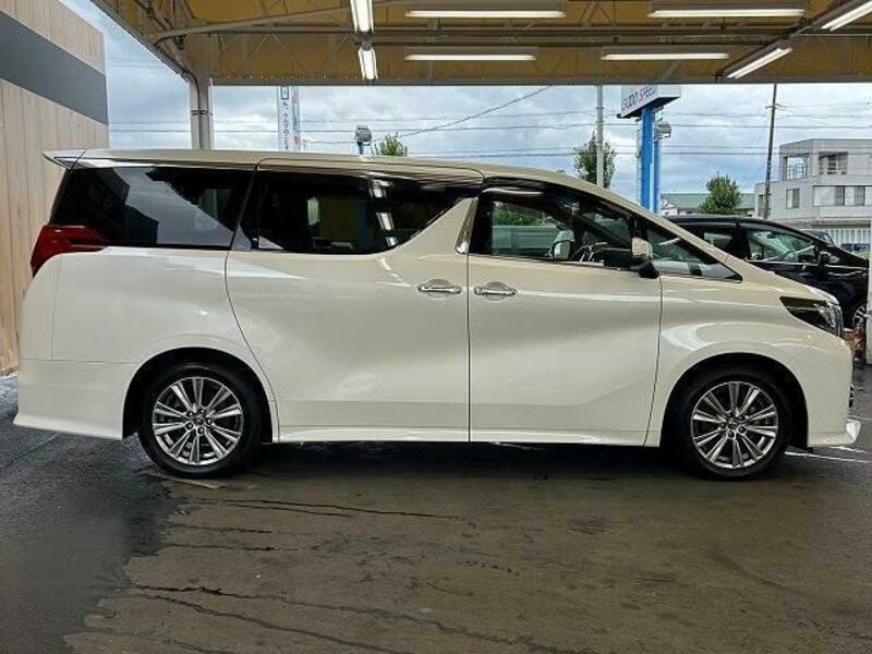 ALPHARD-14