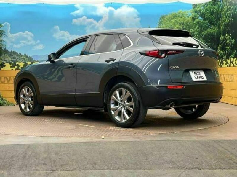 CX-30-15