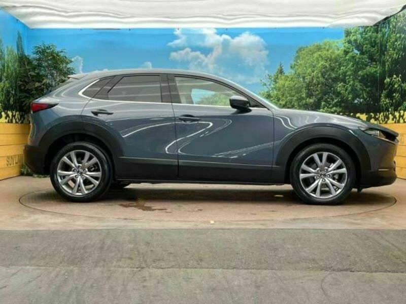 CX-30-17