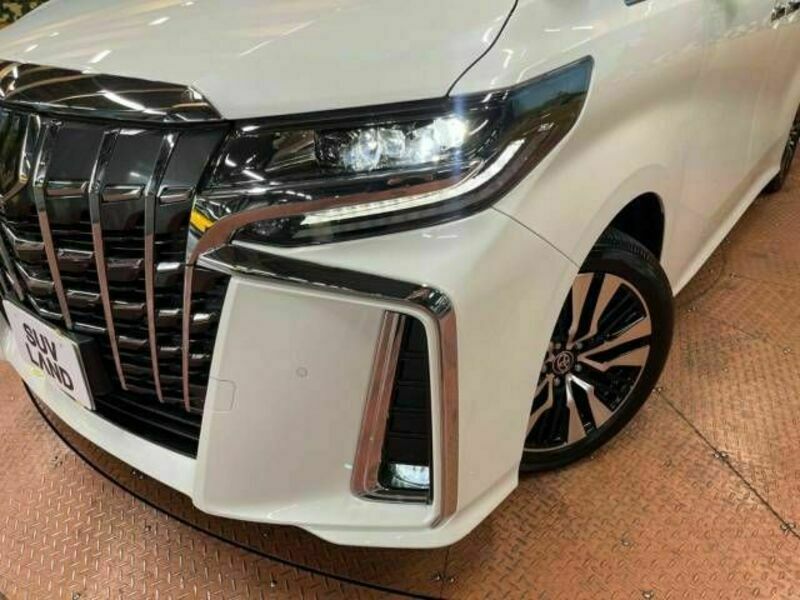 ALPHARD-13