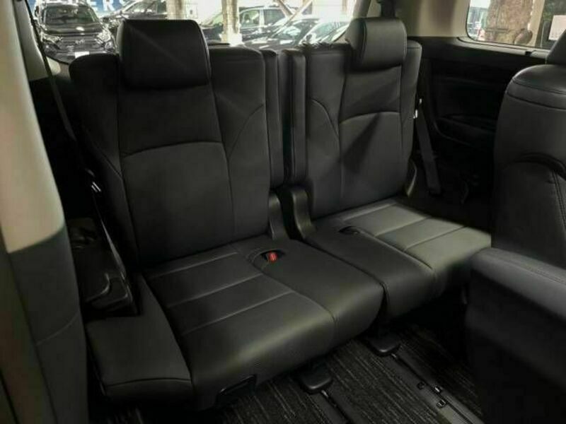 ALPHARD-10