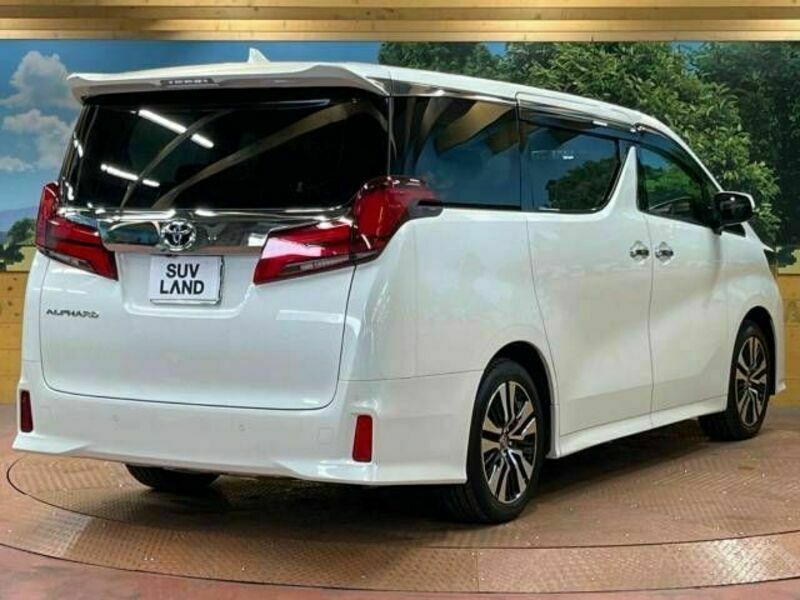 ALPHARD-18