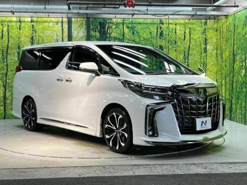 ALPHARD-17