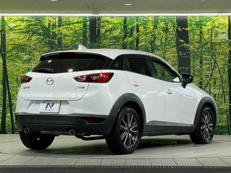 CX-3-17