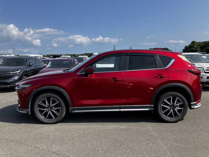 CX-5-3