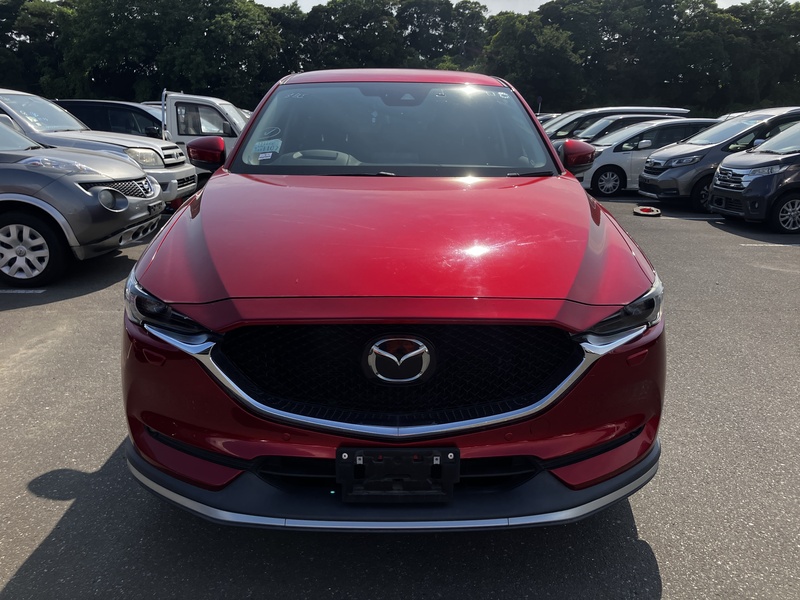 CX-5-1