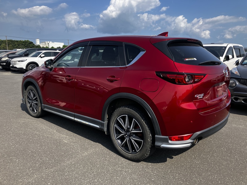 CX-5-4