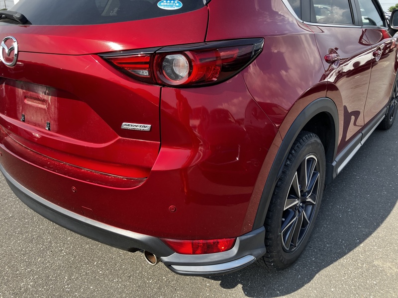 CX-5-49