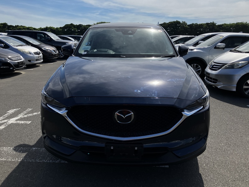 CX-5-1