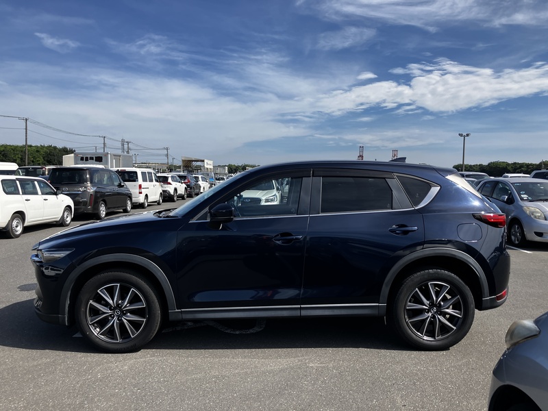 CX-5-3