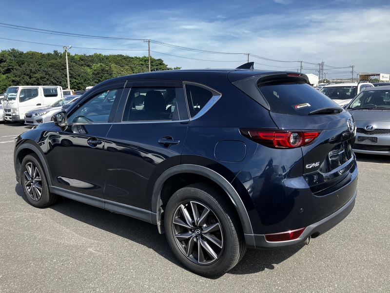 CX-5-6