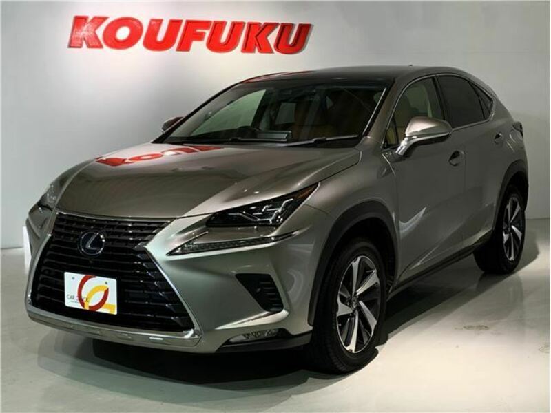 LEXUS　NX