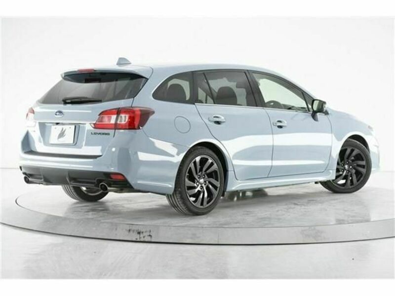 LEVORG-1