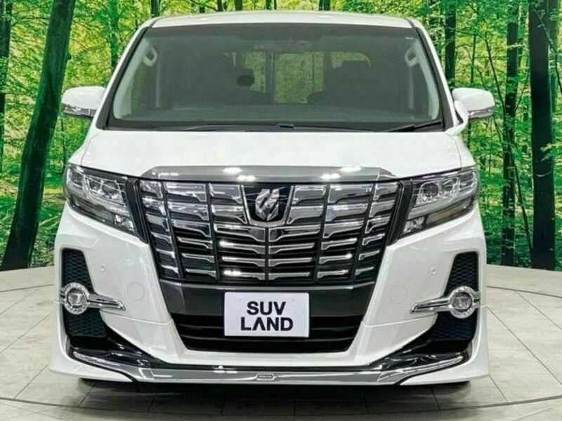 ALPHARD-14