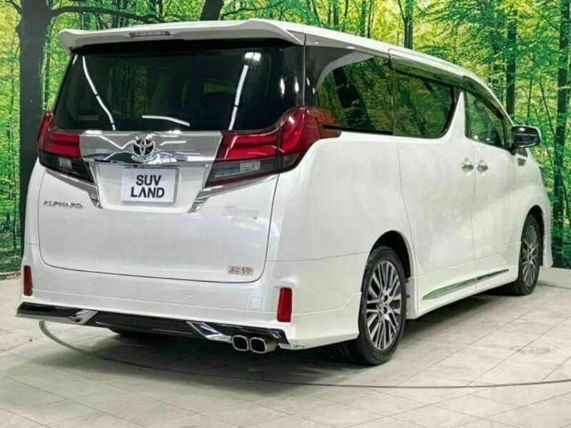 ALPHARD-17