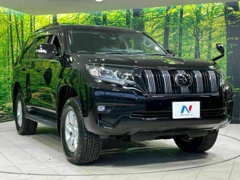 LAND CRUISER PRADO-17