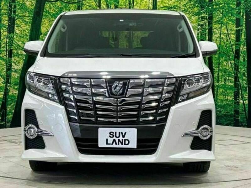 ALPHARD-14