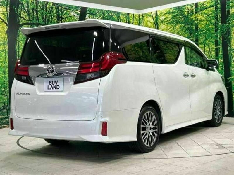 ALPHARD-17