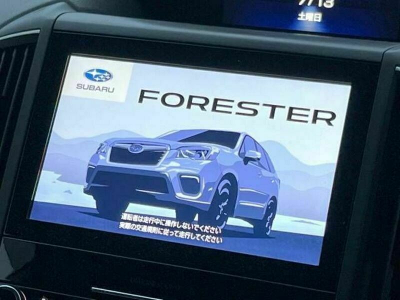 FORESTER-4