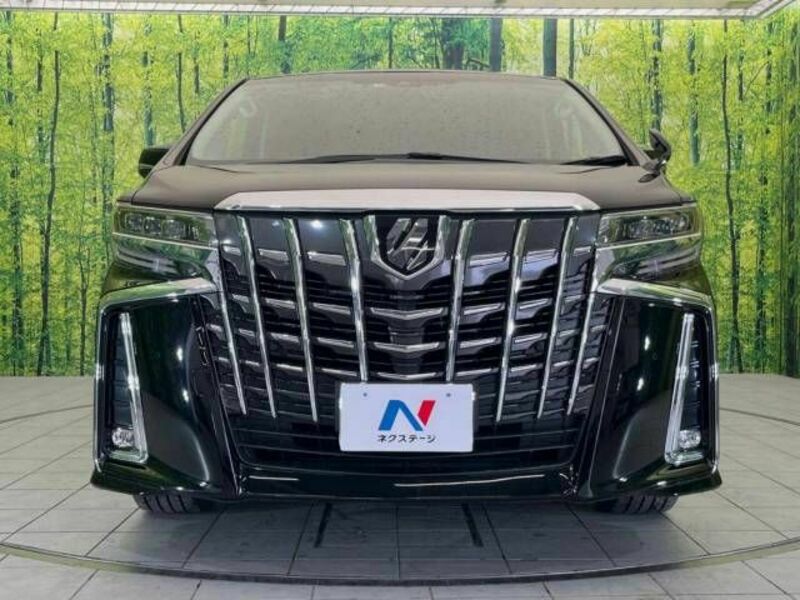 ALPHARD-15