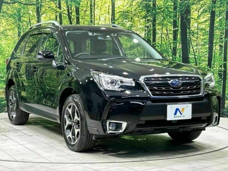 FORESTER-16