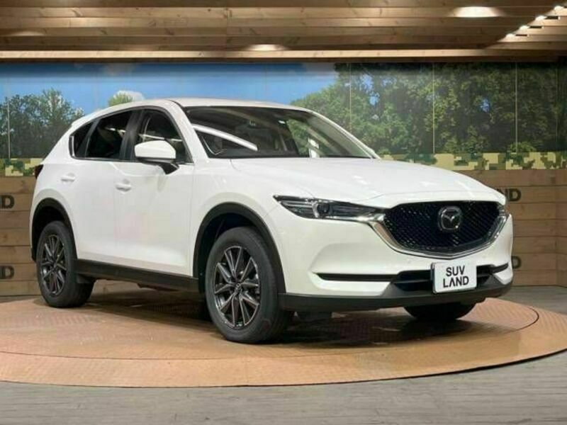 CX-5-18