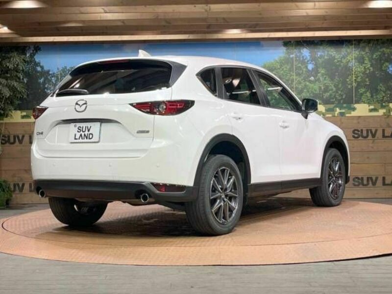 CX-5-19