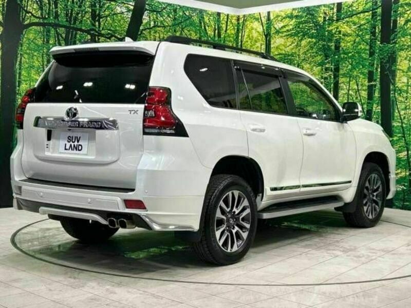 LAND CRUISER PRADO-18