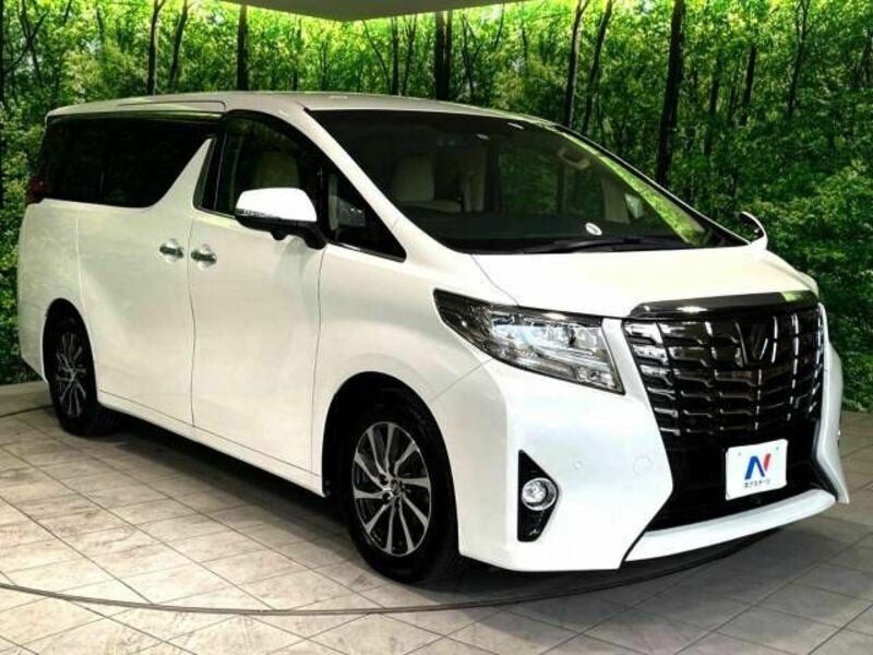 ALPHARD-17