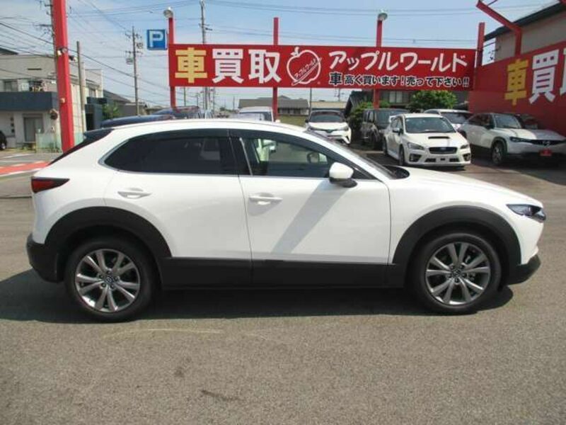 CX-30-3