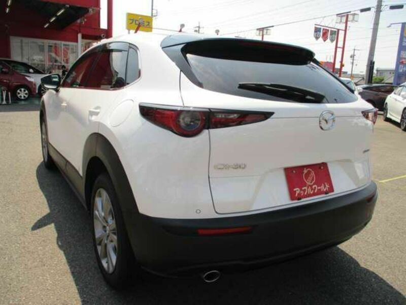 CX-30-7