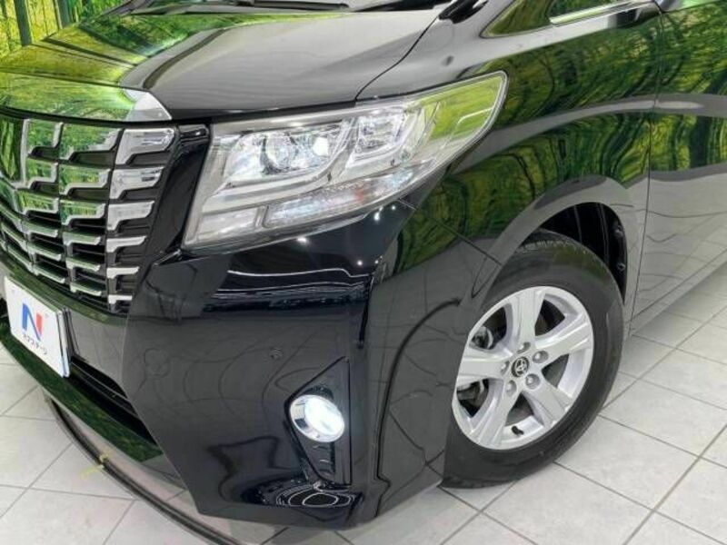 ALPHARD-13