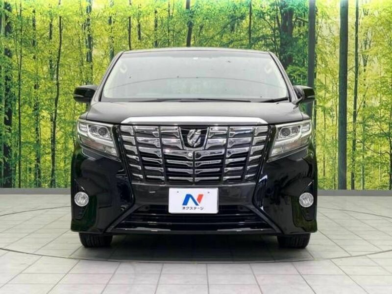 ALPHARD-15