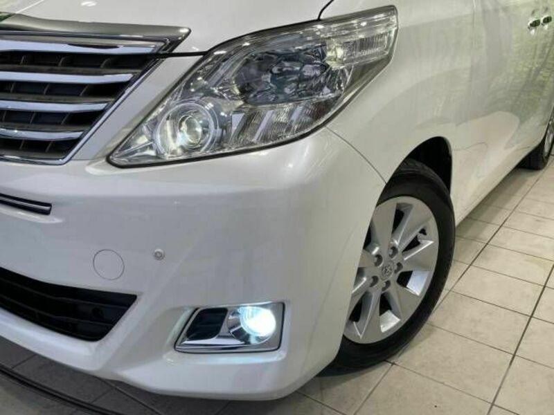 ALPHARD-14