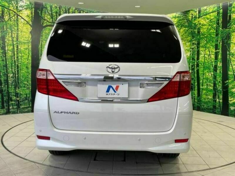 ALPHARD-17