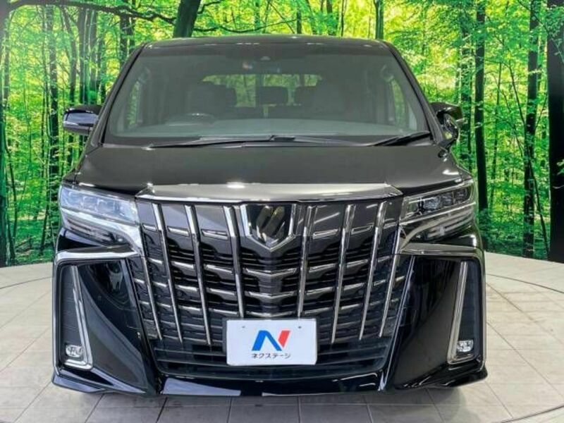 ALPHARD-14